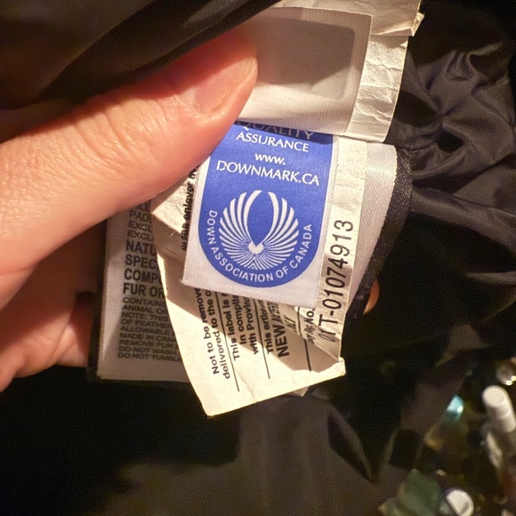 Mystique Canada Goose - Picture 11 of 15